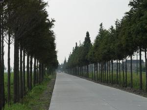 霞美鎮[福建省南安市霞美鎮]