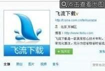 飛流下載