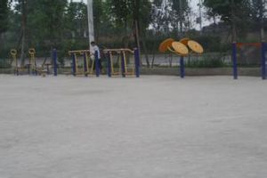 天回社區 天回社區