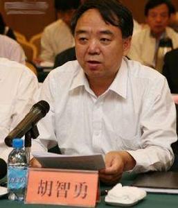 胡智勇[河南投資集團董事長]