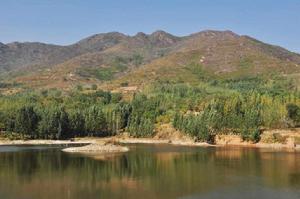 山東臨池鎮 山東臨池鎮