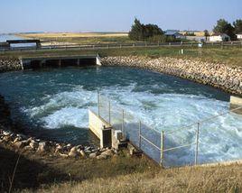 加拿大萊斯布里奇大學 加拿大萊斯布里奇大學