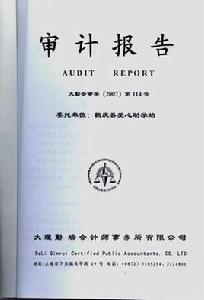 年度會計報表審計 年度會計報表審計