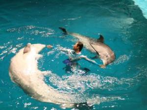 大連聖亞海洋世界