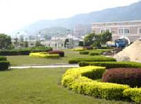 全球綠苗木基地