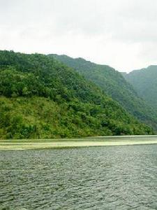 新倉鎮[安徽太湖縣轄鎮]