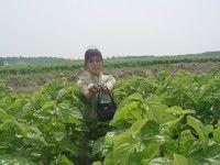 大吉山鎮 大吉山鎮