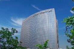 丹姿集團 丹姿集團