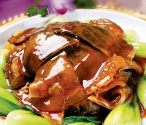 萬壽元魚 萬壽元魚