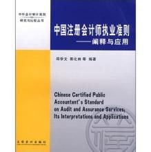 中國註冊會計師執業準則實務問題釋疑