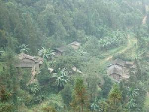 沙岩自然村 沙岩自然村