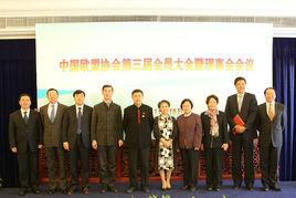 中國歐盟協會 中國歐盟協會