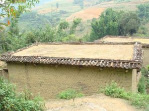 阿我的自然村 阿我的自然村