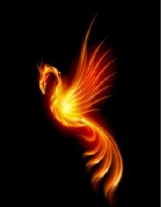 火翎鳥[傳說中的神鳥“火鳳凰”]