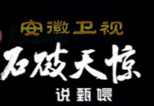 石破天驚說甄嬛