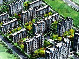 金港綠洲 金港綠洲