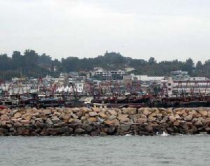 長洲位於香港西南面，面積只有2.4平方公里