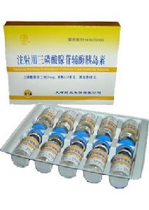 注射用三磷酸腺苷輔酶胰島素 注射用三磷酸腺苷輔酶胰島素