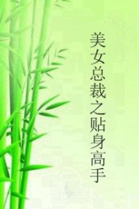 美女總裁之貼身高手 美女總裁之貼身高手