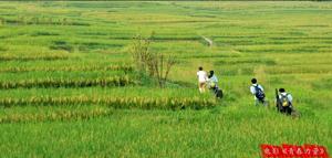 青春的力量[電影]