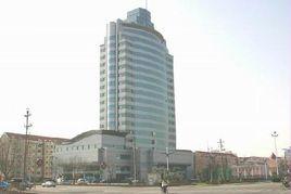 威海市國家稅務局 威海市國家稅務局