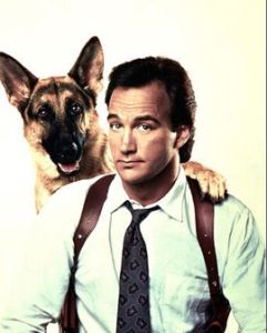 衝鋒九號 衝鋒九號