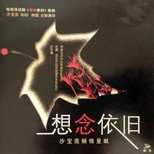 想念依舊 想念依舊