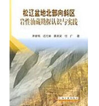 松遼盆地北部向斜區岩性油藏勘探認識與實踐 松遼盆地北部向斜區岩性油藏勘探認識與實踐