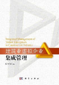 虛擬組織 虛擬組織