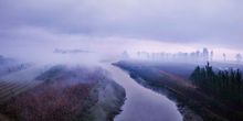 晨霧中的新蟒河