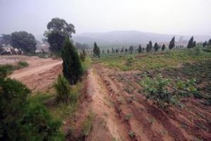 師家莊村 師家莊村