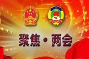 2020年省級兩會