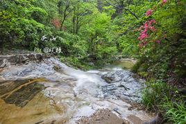 星光村[湖北省黃岡市英山縣草盤地鎮星光村]