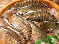 海鮮飯原料照片