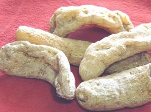 固本理眩湯 固本理眩湯