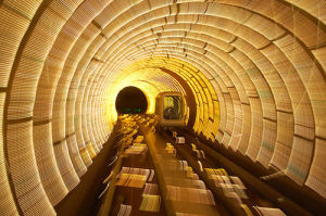 上海外難軌道觀光隧道
