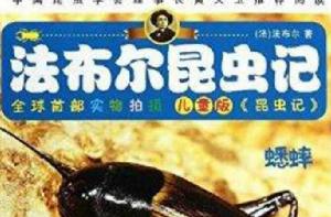法布爾昆蟲記:蟋蟀 法布爾昆蟲記:蟋蟀