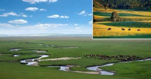 錫林郭勒國家自然保護區 錫林郭勒國家自然保護區