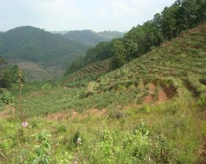 龔家村自然村 龔家村自然村