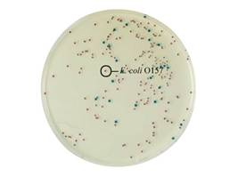 中國檢驗檢疫科學研究院