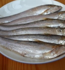 巢湖毛魚 巢湖毛魚