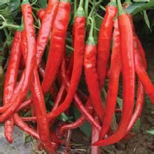 新豫優鮮辣王 新豫優鮮辣王