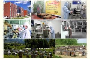 北廣陽城村 北廣陽城村