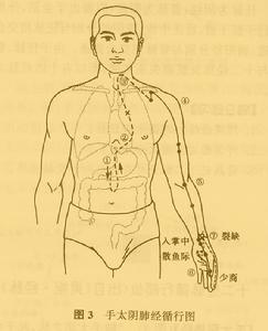 手太陰肺經