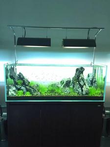 迪茨[浙江台州家居品牌]