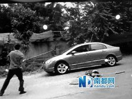 惠州惠東縣大嶺鎮大洲村群毆事件