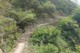 九龍巖[永州九龍巖]