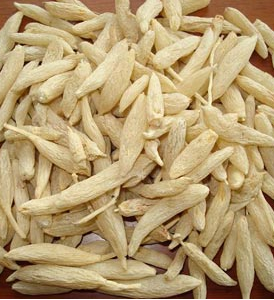 川麥冬1號 川麥冬1號