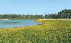 集水區土地利用 集水區土地利用