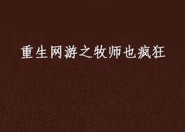 重生網遊之牧師也瘋狂 重生網遊之牧師也瘋狂